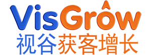 视谷传媒logo